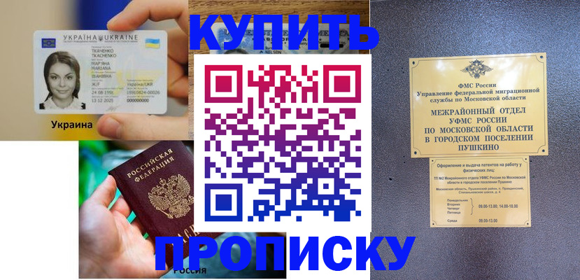 прописка законно в Павловске